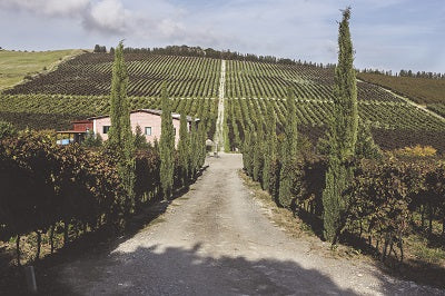 Cantina Dell'Aera KRIO vino rosso 2022