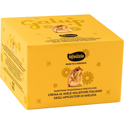 Galup Panettone MIELIZIA 900g